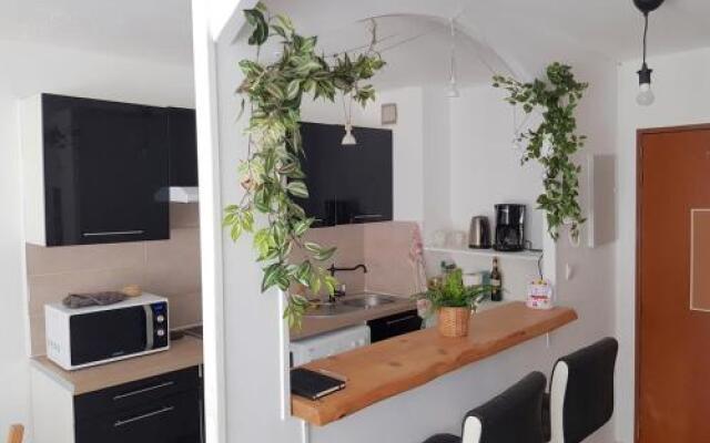 Au Petit Thaï - T2 avec balcon - Montpellier Centre