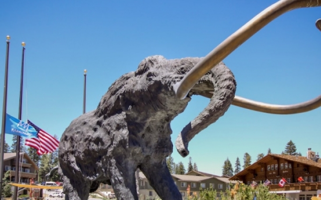 Mammoth Green Condos