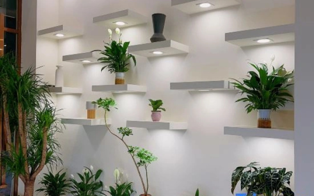 Lu'er Preferred Apartment (Chenqiao Branch)
