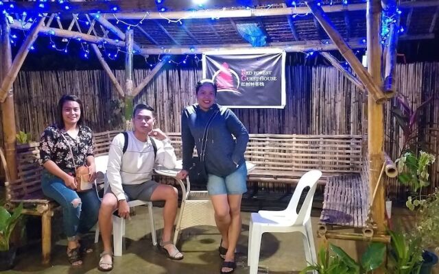 Red Forest Guest House