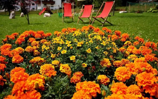 Hotel Corona Ferrea