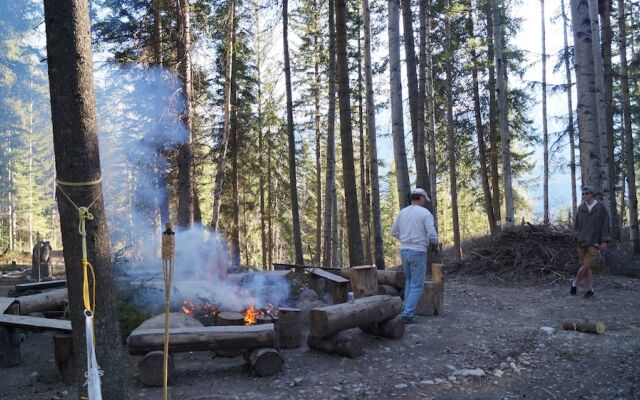 Mountain View Cabins
