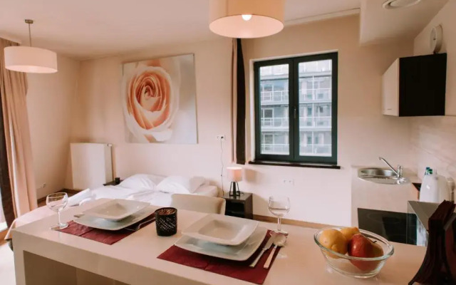 Apartament Szklane Domy