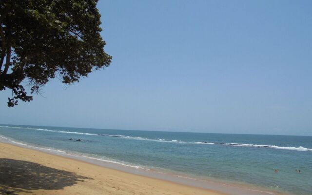 New Robinson Plage
