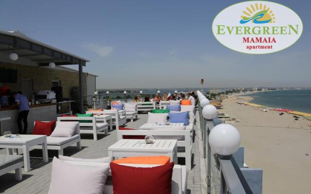 Evergreen Vlas Mamaia
