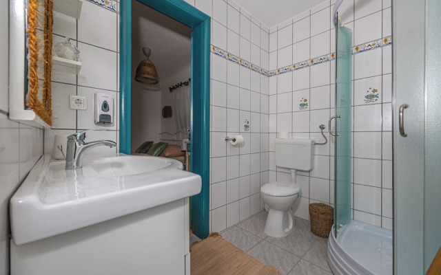 Villa Cikas Palmhouse