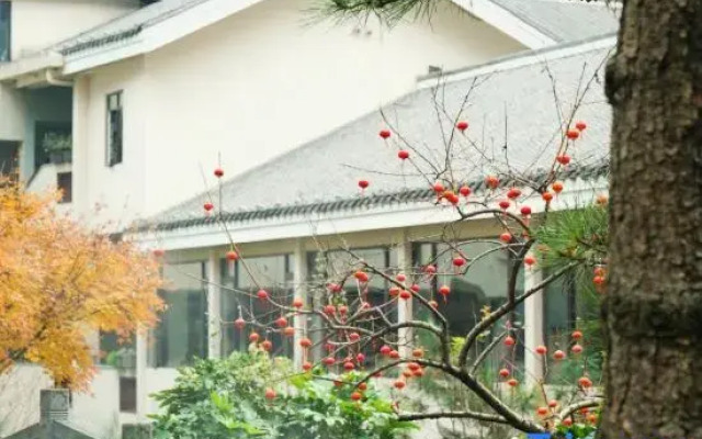 Phoenix Xueqingji Humanity Banshan Homestay (Phoenix Ancient City Branch)