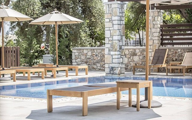 Vassilis Guest House