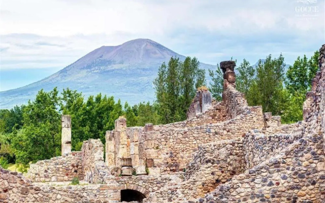 Agave - Blu Sorrento