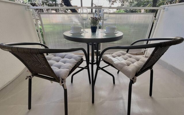 Premium Suite Anemar