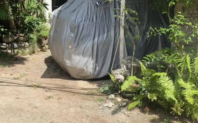 Shady Grove Healing Centre and Homestay