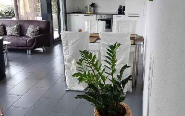 Brissago: 3.5 Zi-Wohnung an extrem ruhiger Lage mit fantastischem Ausblick – Guest Rooms – Brissago