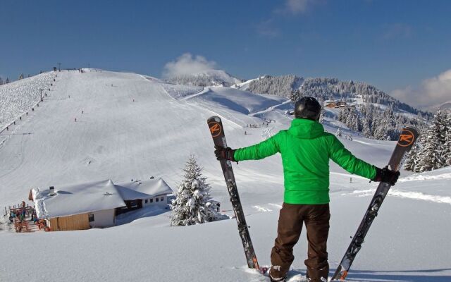 Modern Apartment in Fieberbrunn With Terrace
