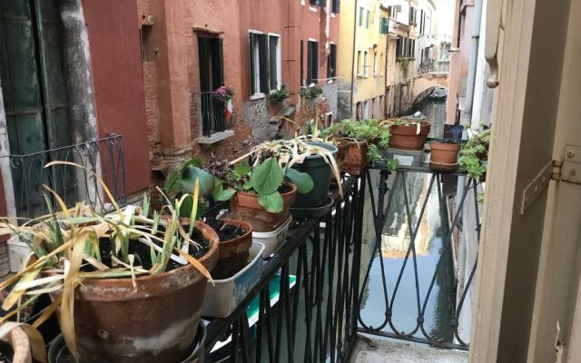 Venice Sun Apartment and rooms