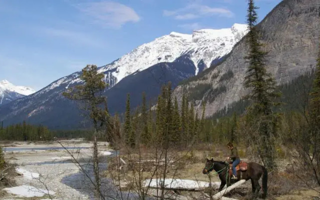 Bear Corner Adventures Bed & Bale