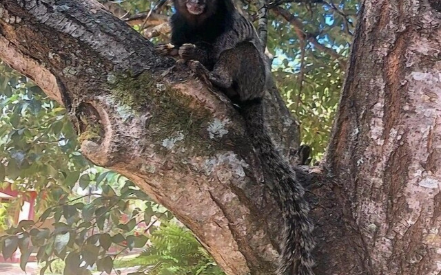 Pousada Pontal do Lago