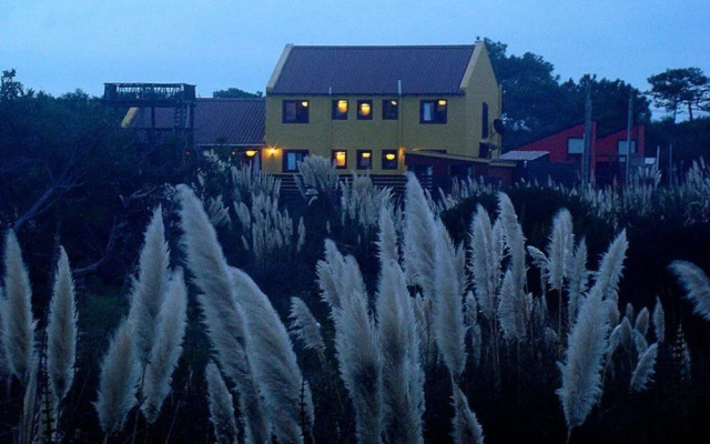 Posada de la Viuda - Hostel