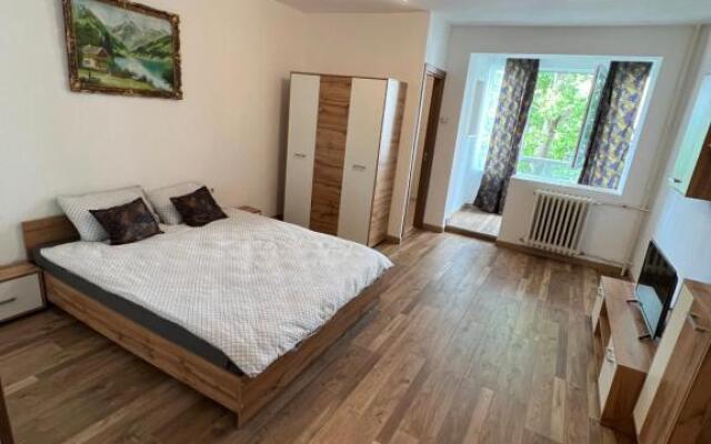 Apartament 1 Room center circumvalațiunii