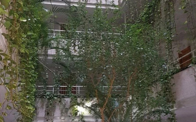 Owner Solidarity - Reduction of Prices - 1