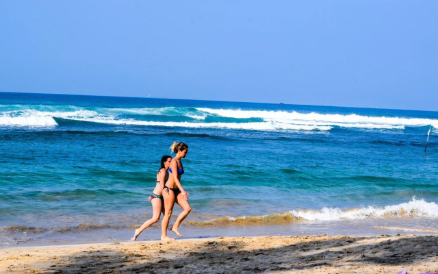 The Youth Hostel - It's a Youth Fame