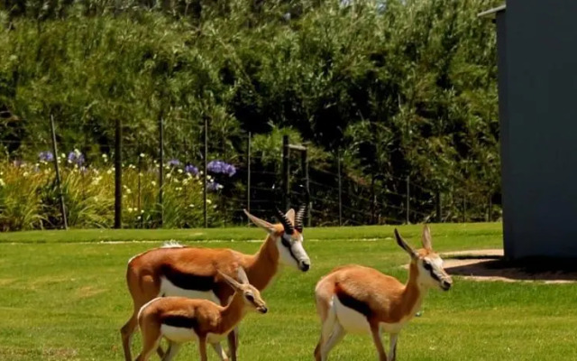 CHRIS~ELLE Selfcatering