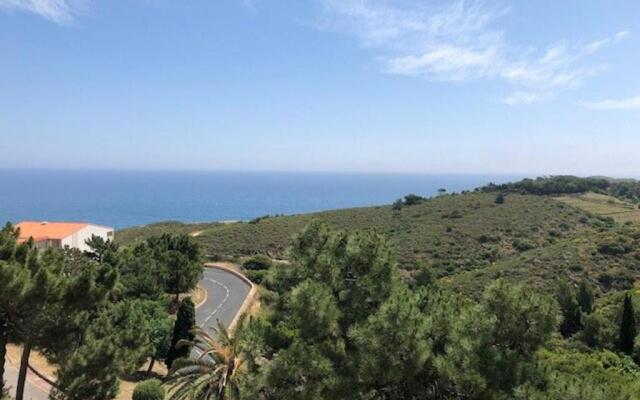 Appartement Banyuls-sur-Mer, 2 pièces, 4 personnes - FR-1-225C-79