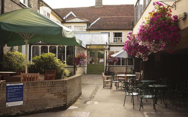 White Hart Braintree by Greene King Inns