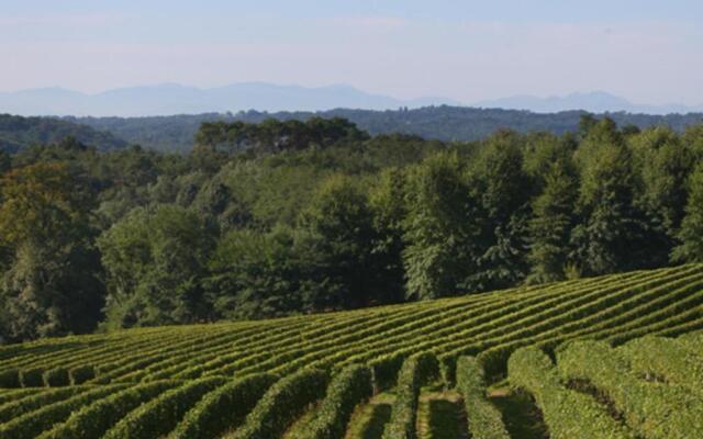 Gîte Bénesse-lès-Dax, 3 pièces, 4 personnes - FR-1-360-47