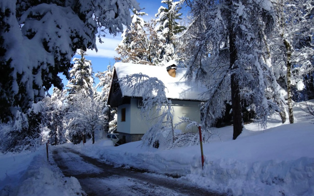 Sweet Stay Forest House