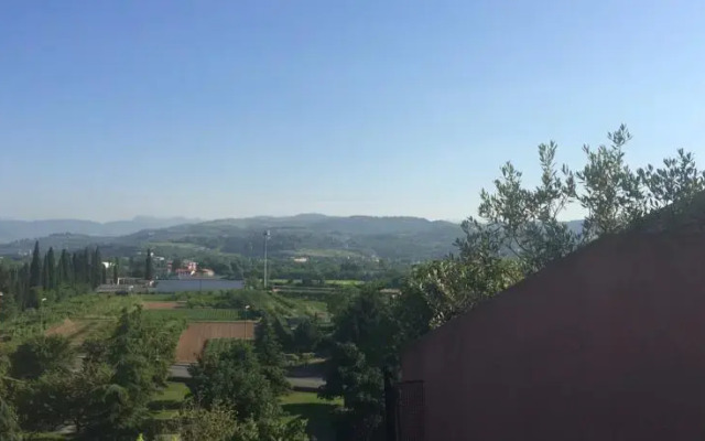 The King's Amarone