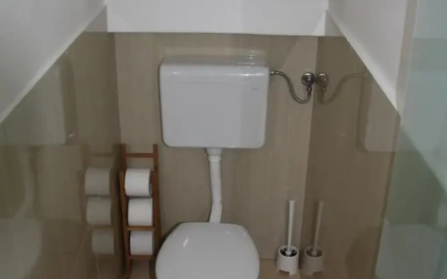 Zvezdica
