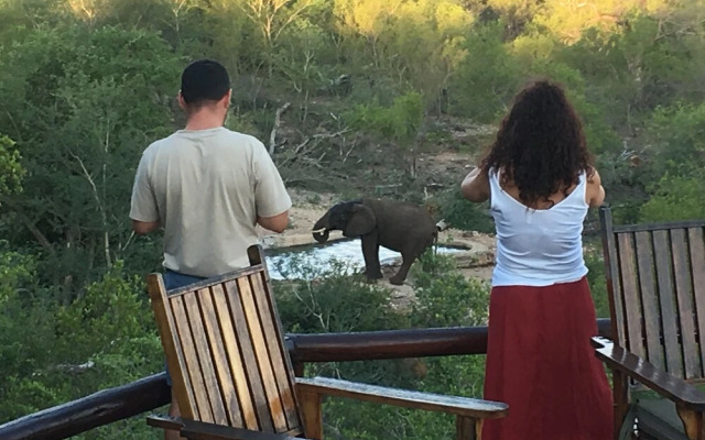 Elephant Game Lodge