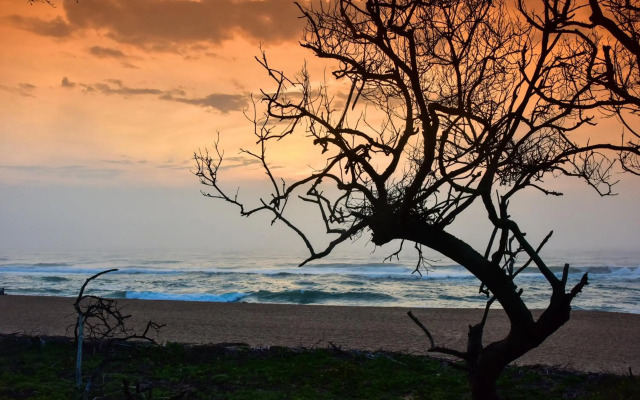 La Lucia Sands