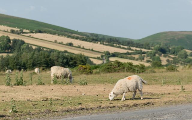Upper Caerfaelog