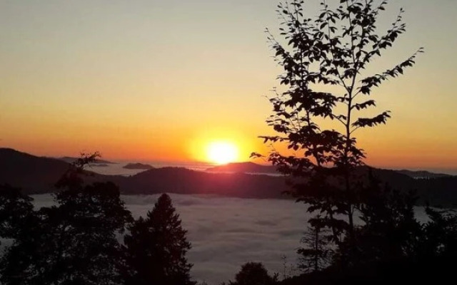 Pokut Orion