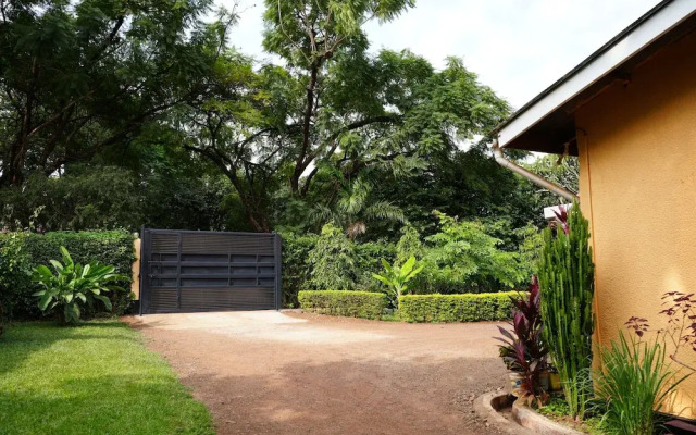 jacaranda homestay