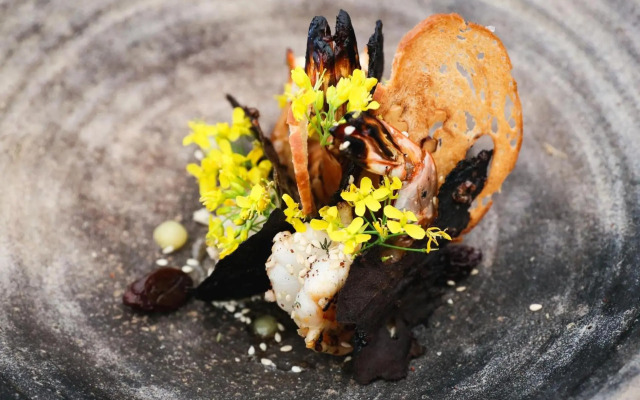 Belle Escapes - Watermark Luxury Palm Cove