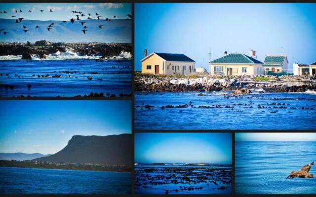 The Bay Lodge
