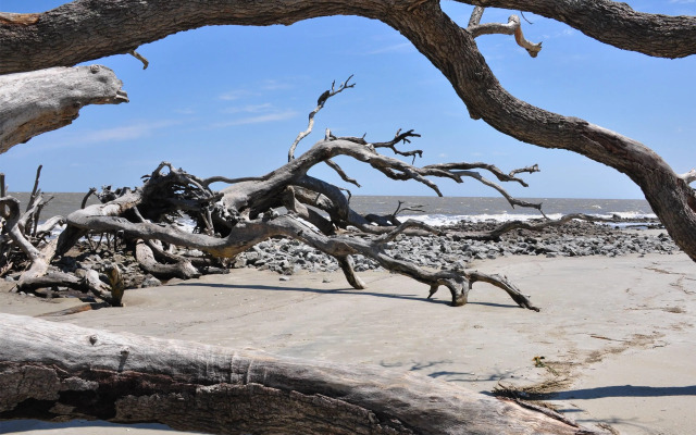 Days Inn & Suites by Wyndham Jekyll Island