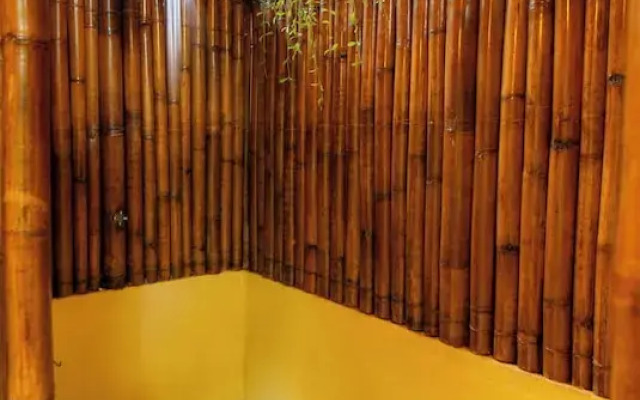 Water To Forest Ecolodge