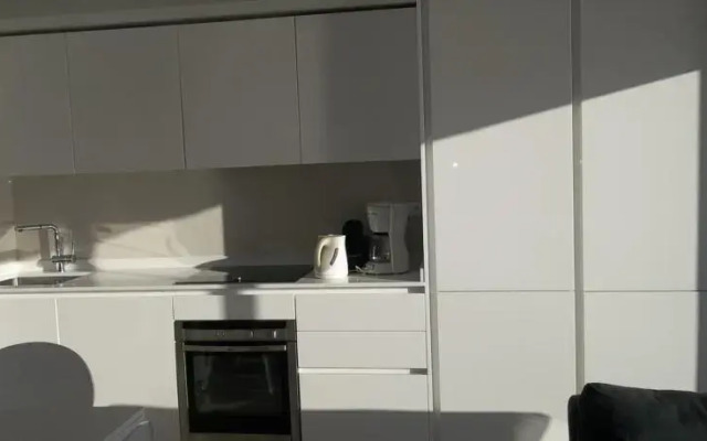 Two Bedrooms Apartment in Cannes
