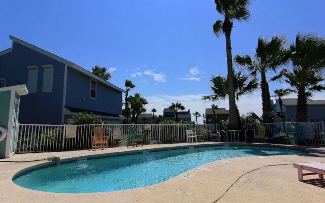 Happy Starfish LCV36