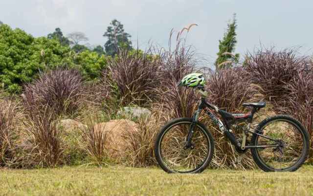 The Natural Garden - Khao Soi Dao -