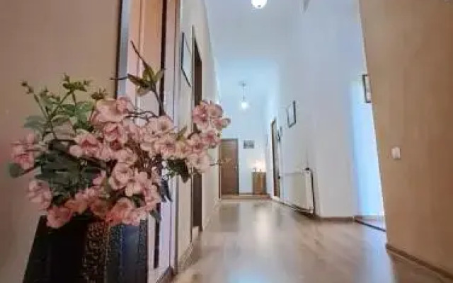 Hotel Old City