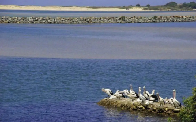 The Happy Pelican Harrington Hotel