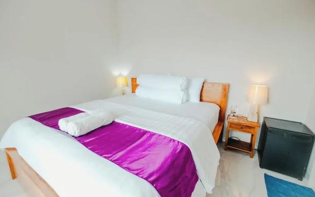 Turtle Shelter Guest House