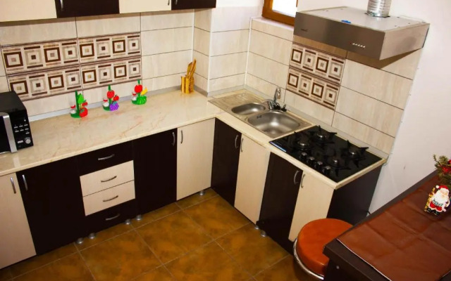 Cabana Andreea Telescaun