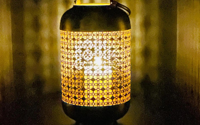 Royal Swan Skyline, Wien