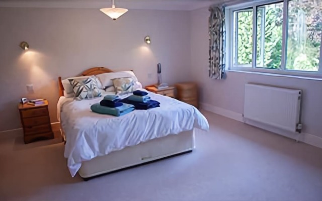 Bassets B&B
