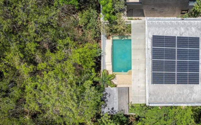 Senderos De Ciudad Mayakoba